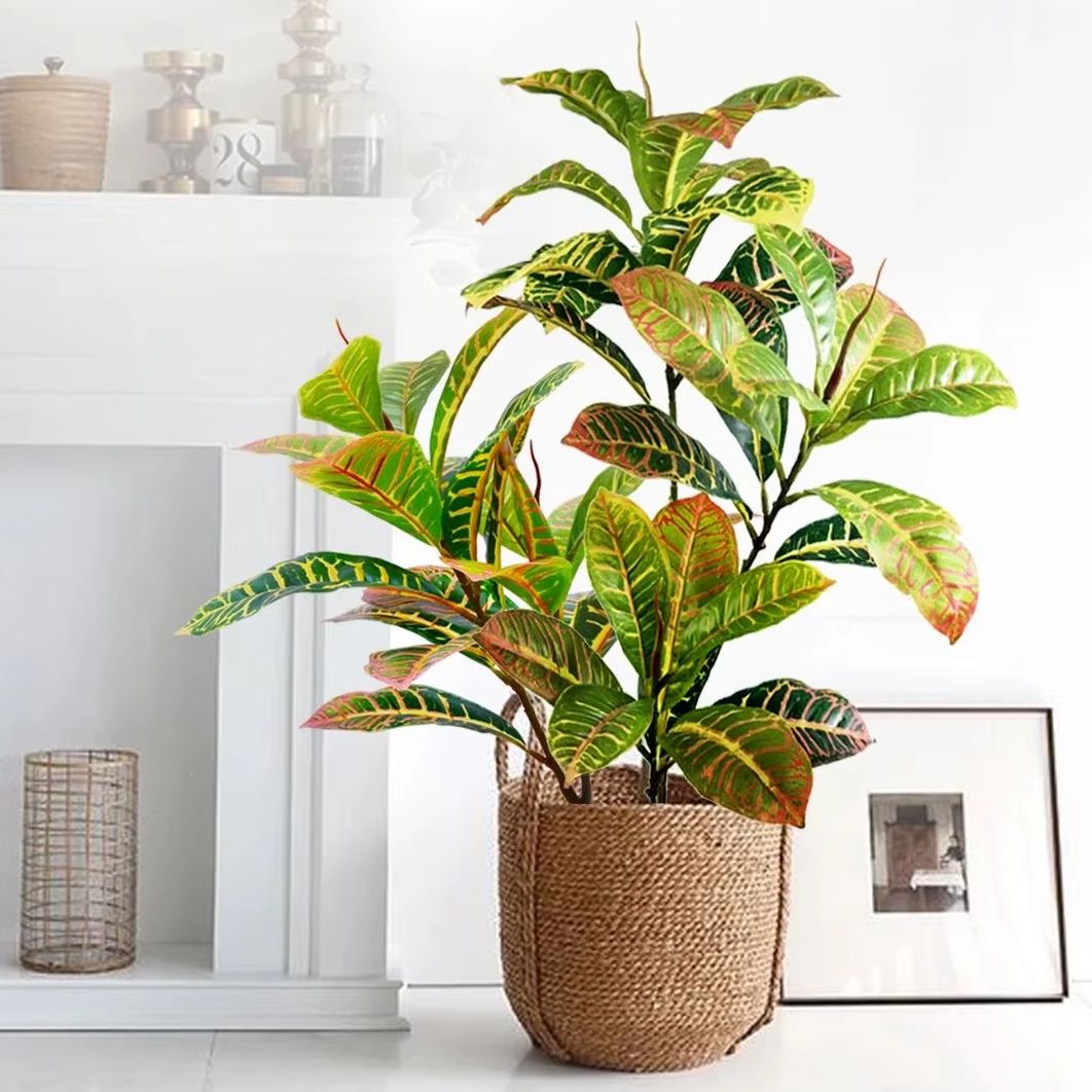 ต้นไม้ประดิษฐ์ขนาด 21-120 ซม.  - Dracaena Marginata บทวิจารณ์และราคา