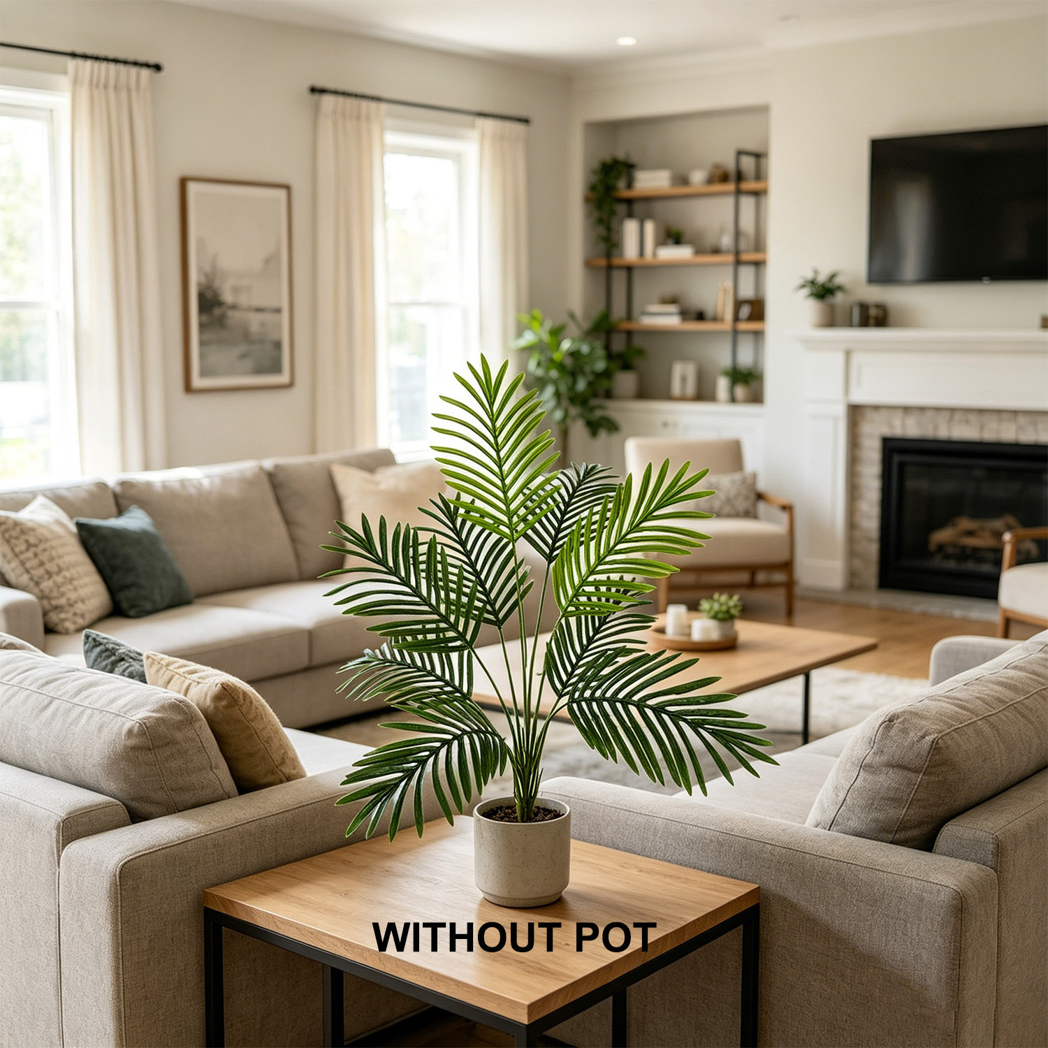 กิ่งปาล์มประดิษฐ์ขนาด 65-125 ซ - Dracaena Marginata บทวิจารณ์และราคา