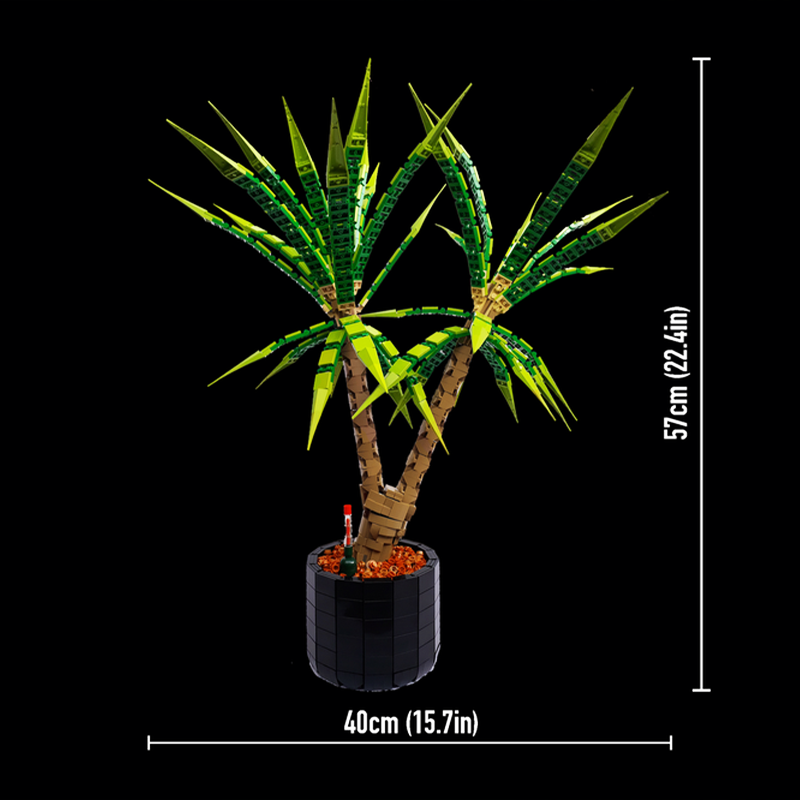1961 ชิ้น MOC Dracaena Margina - Dracaena Marginata บทวิจารณ์และราคา