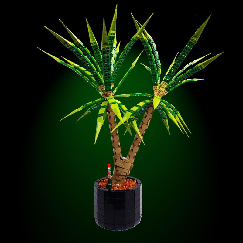 1961 ชิ้น MOC Dracaena Margina - Dracaena Marginata บทวิจารณ์และราคา