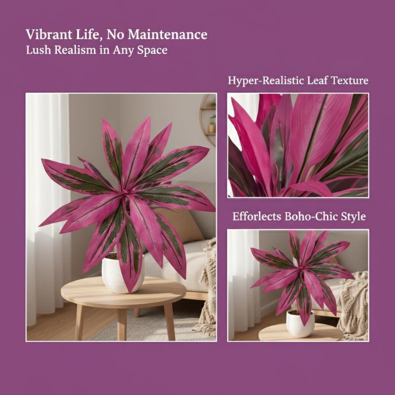 ต้นดรากีน่ามาร์จินาตาต้าประดิษ - Dracaena Marginata บทวิจารณ์และราคา